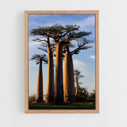 ap-baobab-3 cadre Bois clair