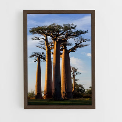 ap-baobab-3 cadre Bois foncé