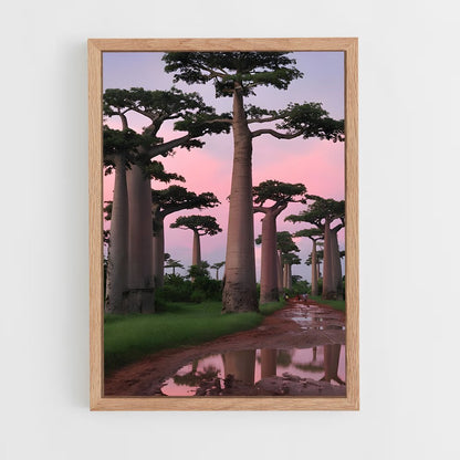 ap-baobab-7 cadre Bois clair