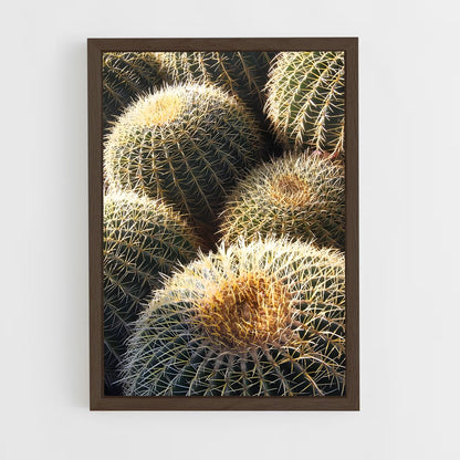 ap-barrel cactus-2 cadre Bois foncé