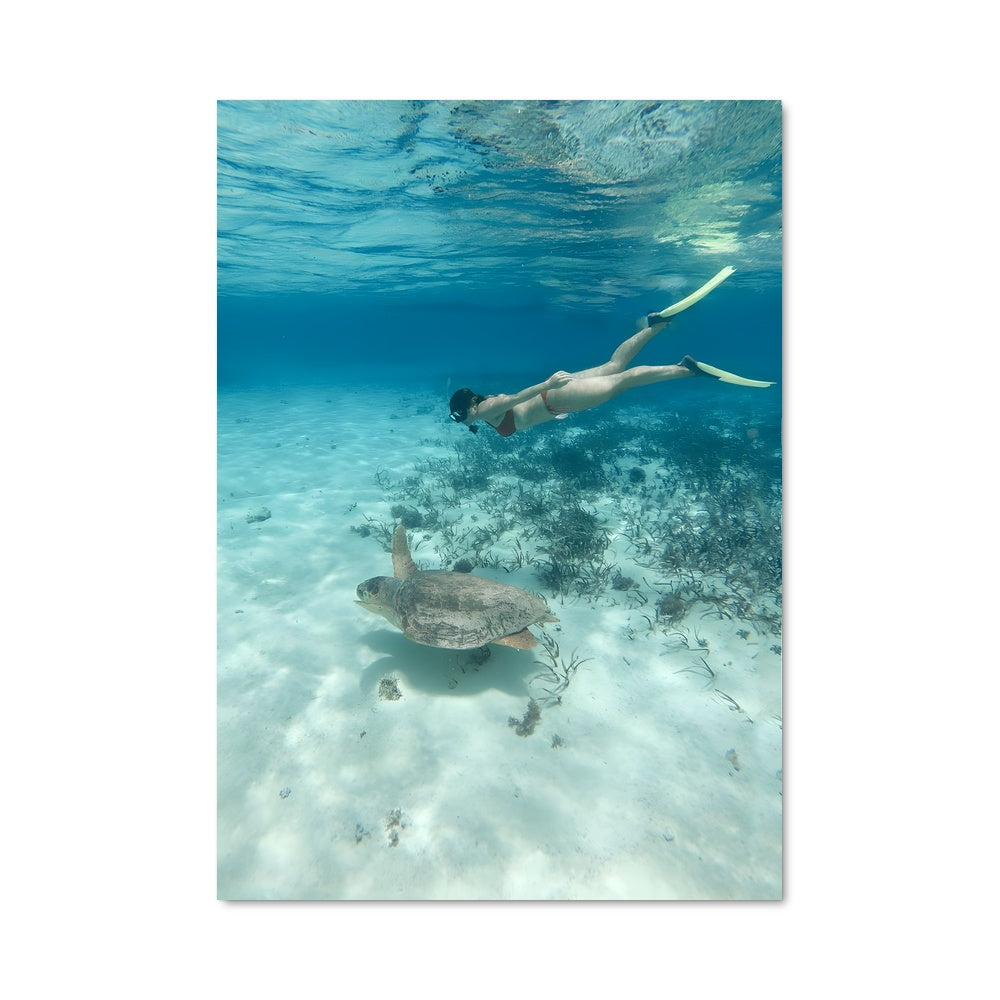 Poster Rêve Océanique