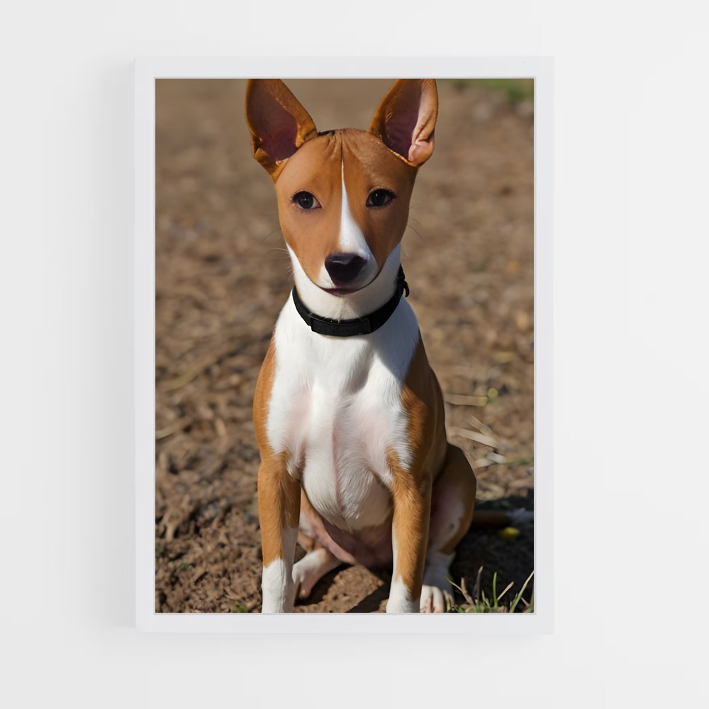ap-basenji-1 cadre Blanc