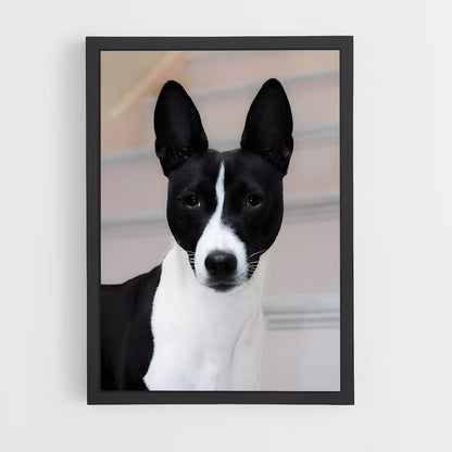 ap-basenji-2 cadre Noir