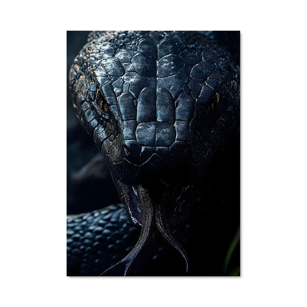 Poster Serpent Enragé