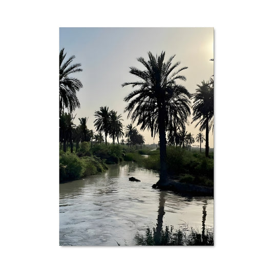 Poster Oasis de Basra