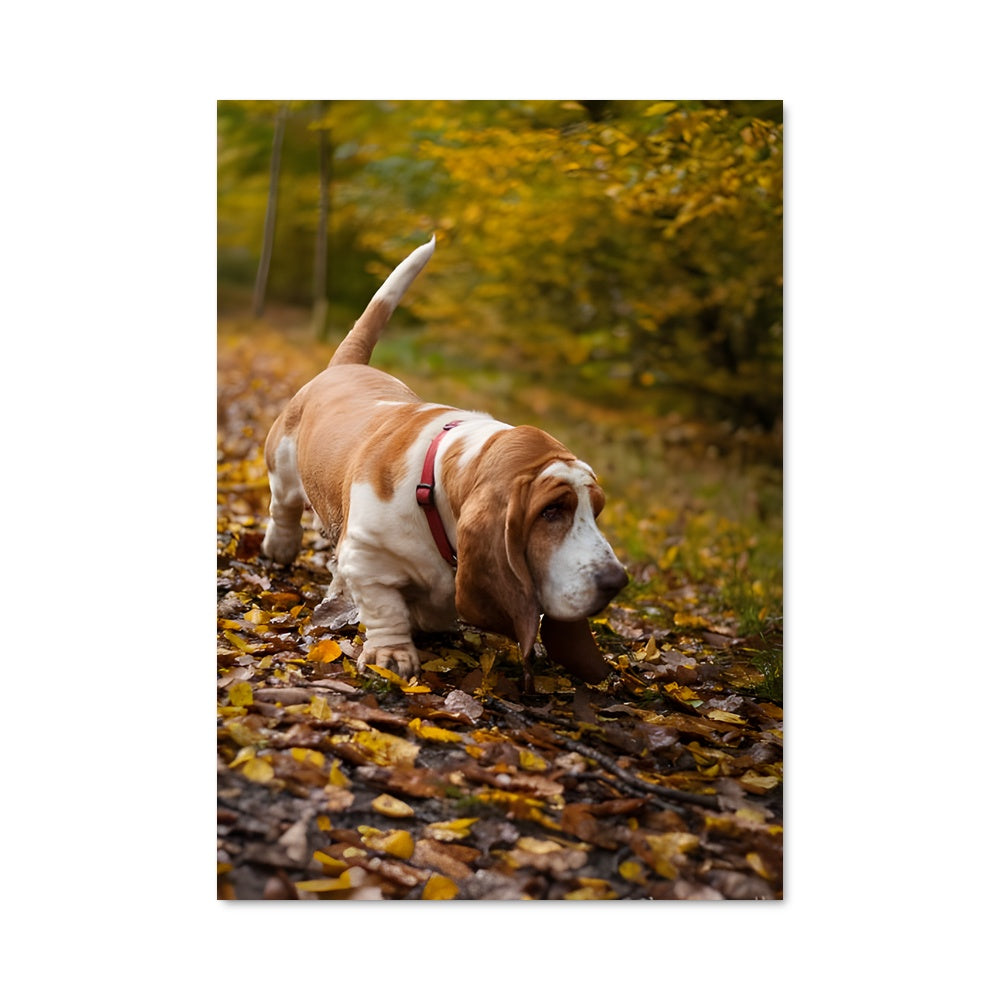 Poster Promenade des Feuilles