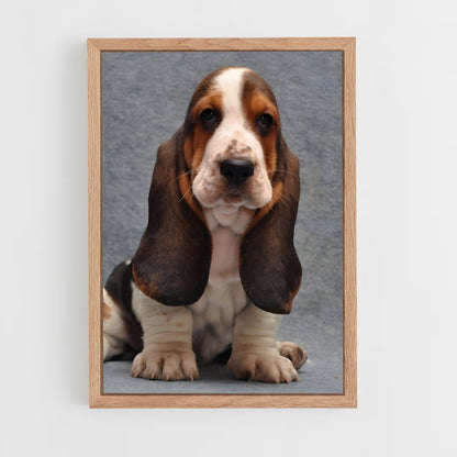 ap-basset hound-1 cadre Bois clair