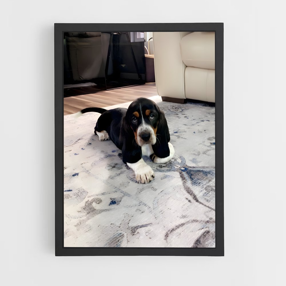 ap-basset hound-2 cadre Noir