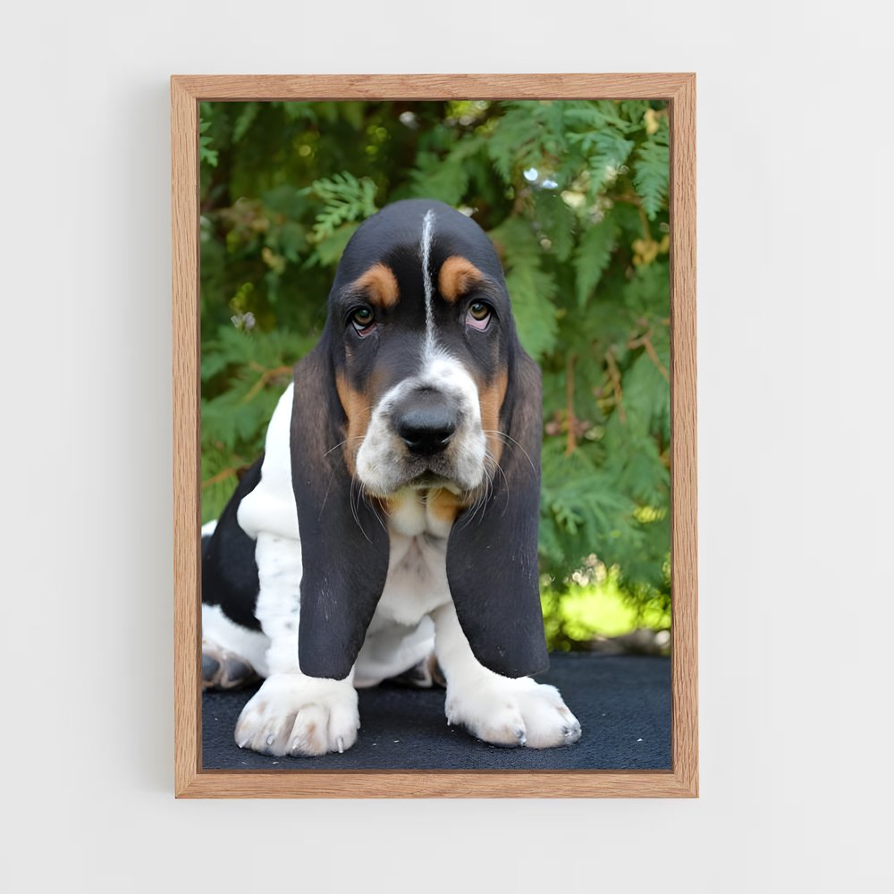 ap-basset hound-3 cadre Bois clair