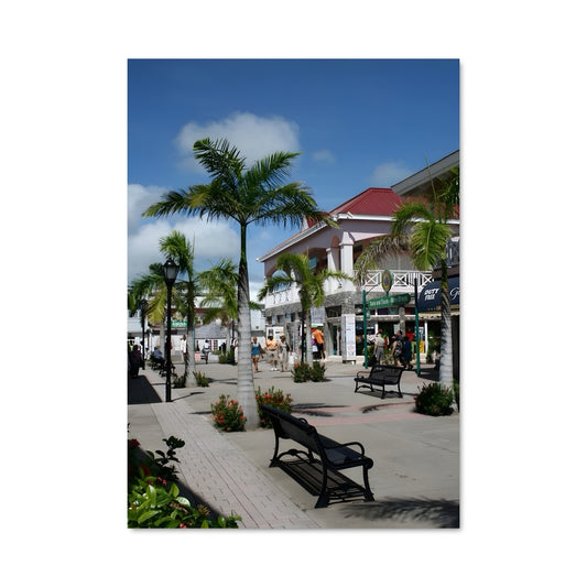 Poster Banc de Basseterre