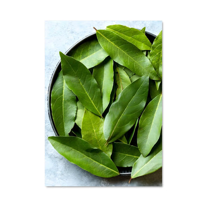 Poster Bay leaves 24518