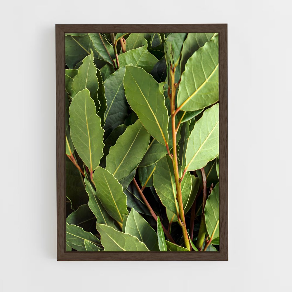 ap-bay leaves-2 cadre Bois foncé