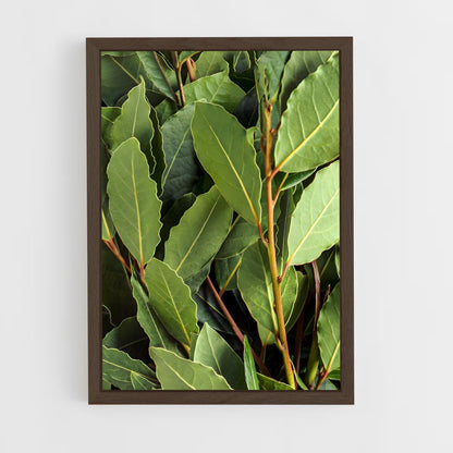 ap-bay leaves-2 cadre Bois foncé