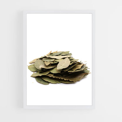 ap-bay leaves-4 cadre Blanc