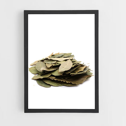 ap-bay leaves-4 cadre Noir