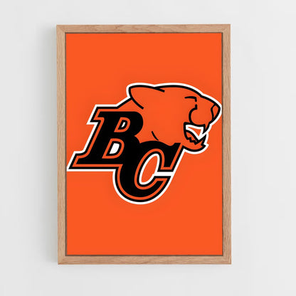ap-bc lions-1 cadre Bois clair