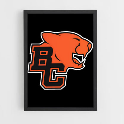 ap-bc lions-3 cadre Noir