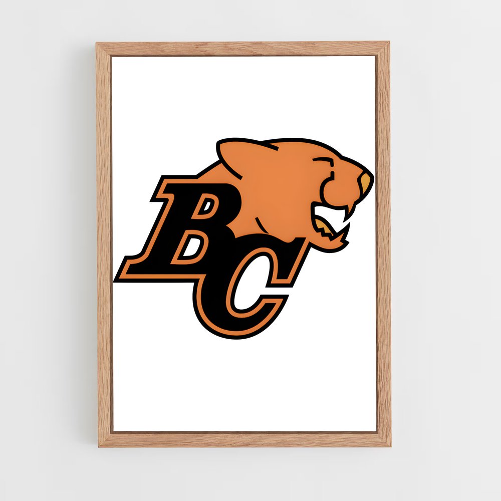 ap-bc lions-7 cadre Bois clair