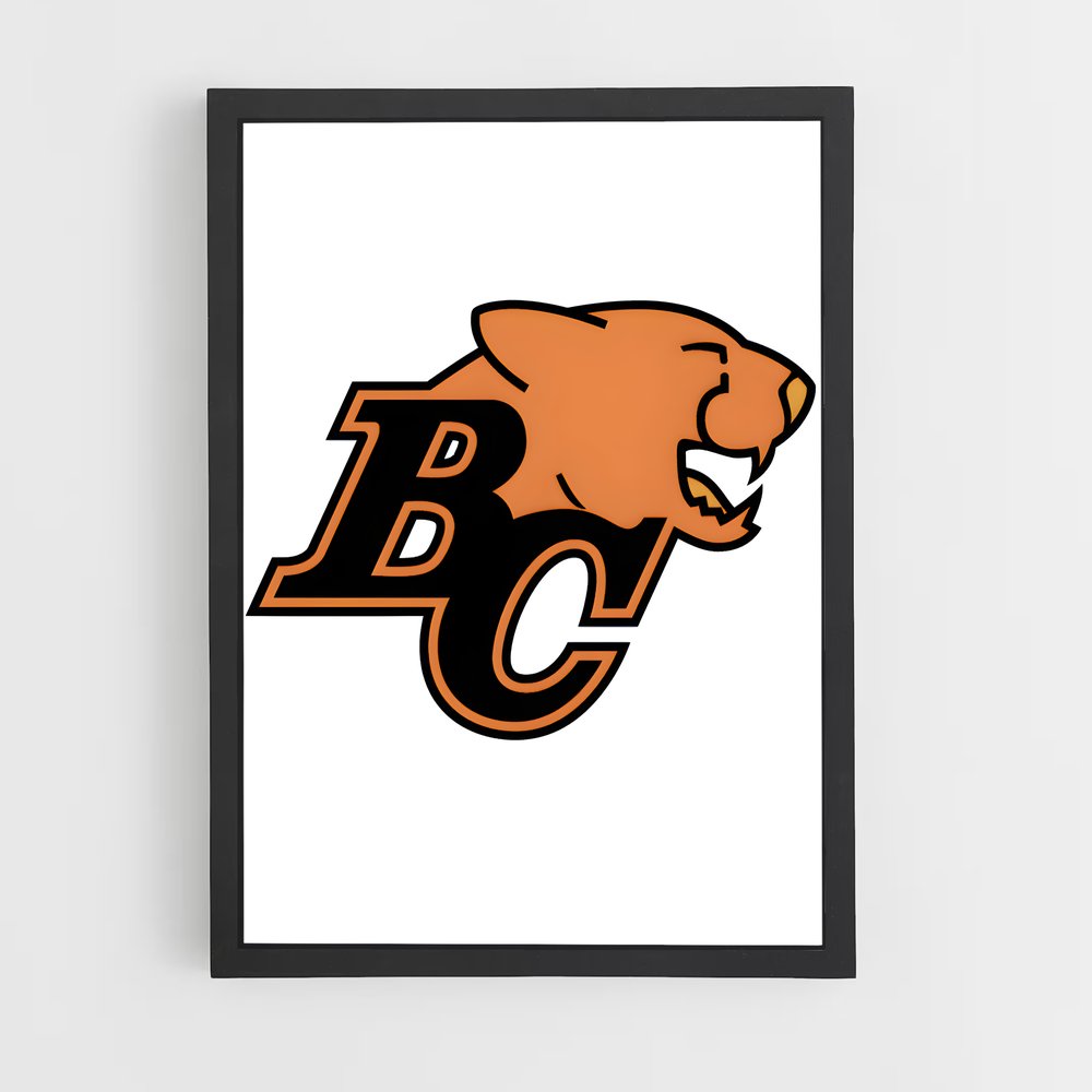 ap-bc lions-7 cadre Noir