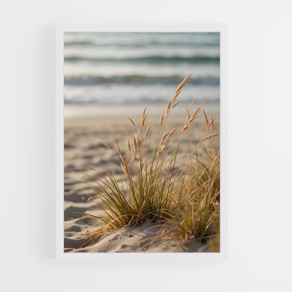 ap-beach-15 cadre Blanc