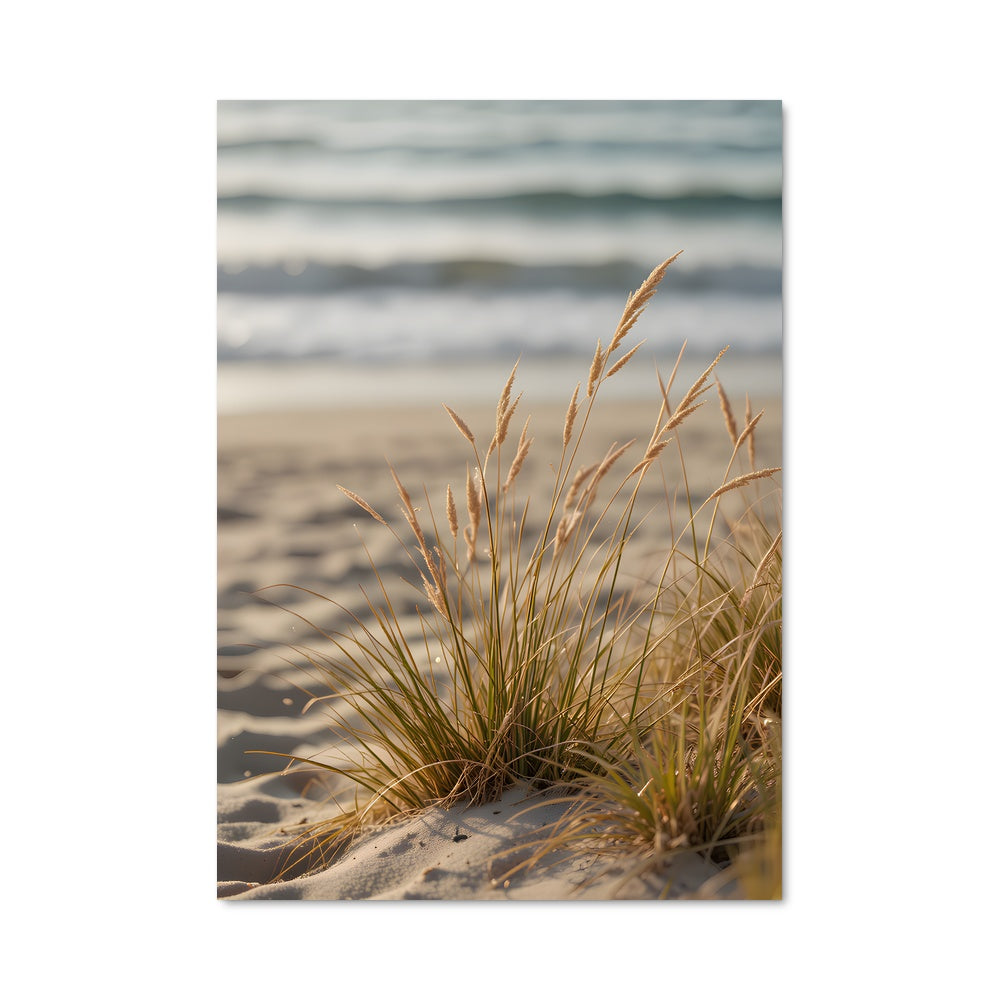 Poster Plage Sauvage