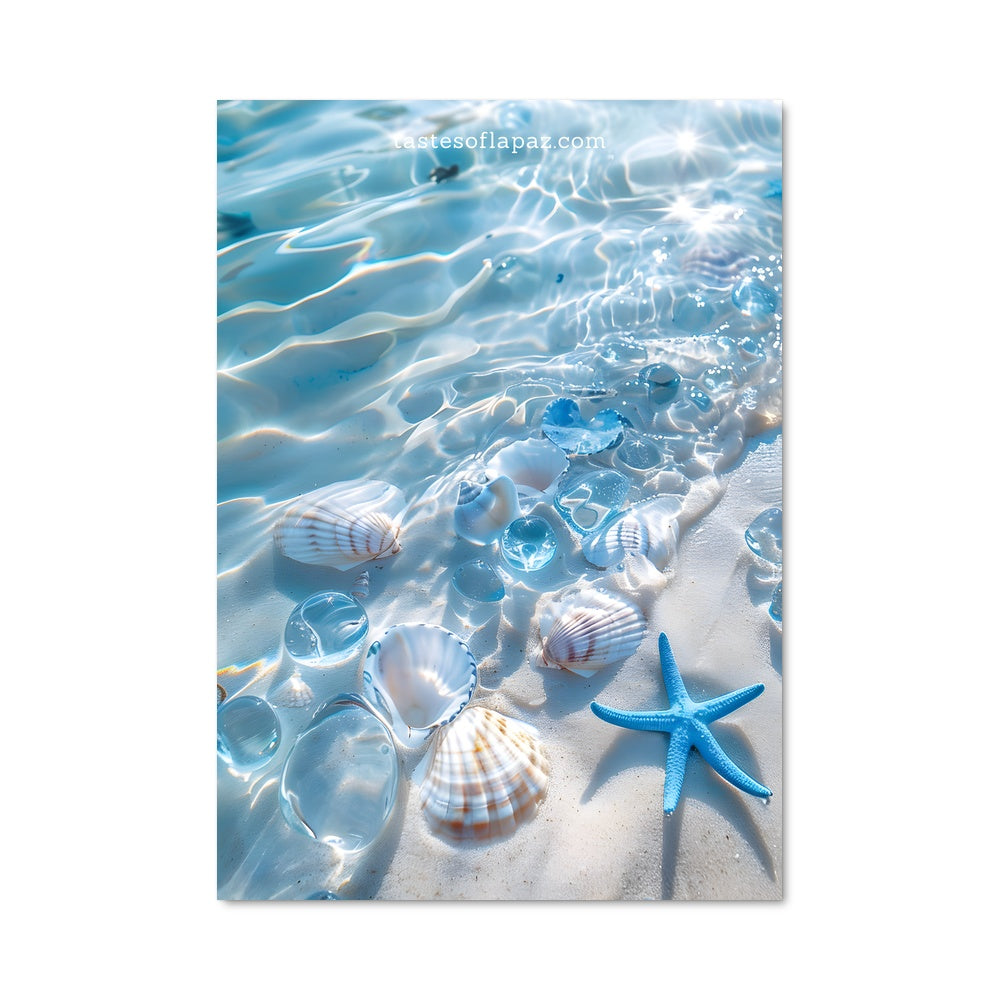 Poster Trésors de Plage