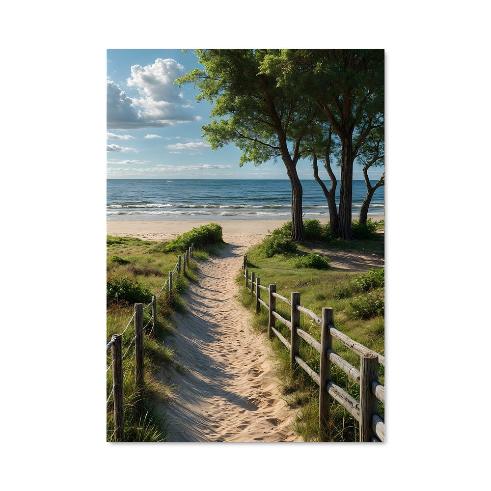 Poster Chemin Ensoleillé