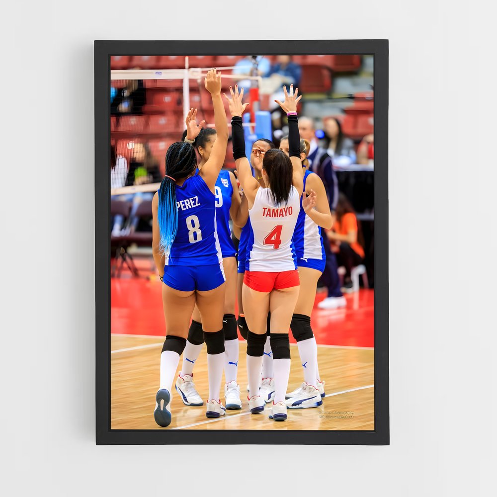 ap-beach volleyball nations cup-2 cadre Noir