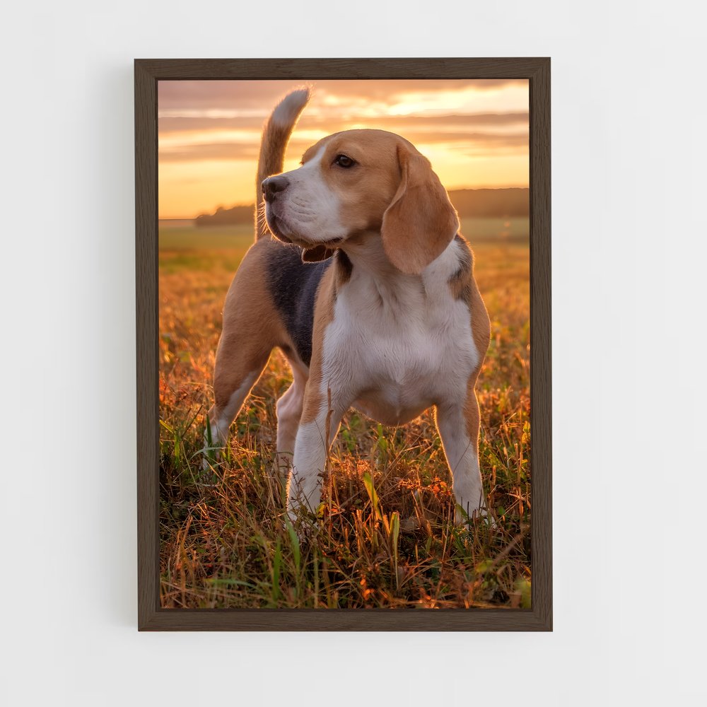 ap-beagle-3 cadre Bois foncé
