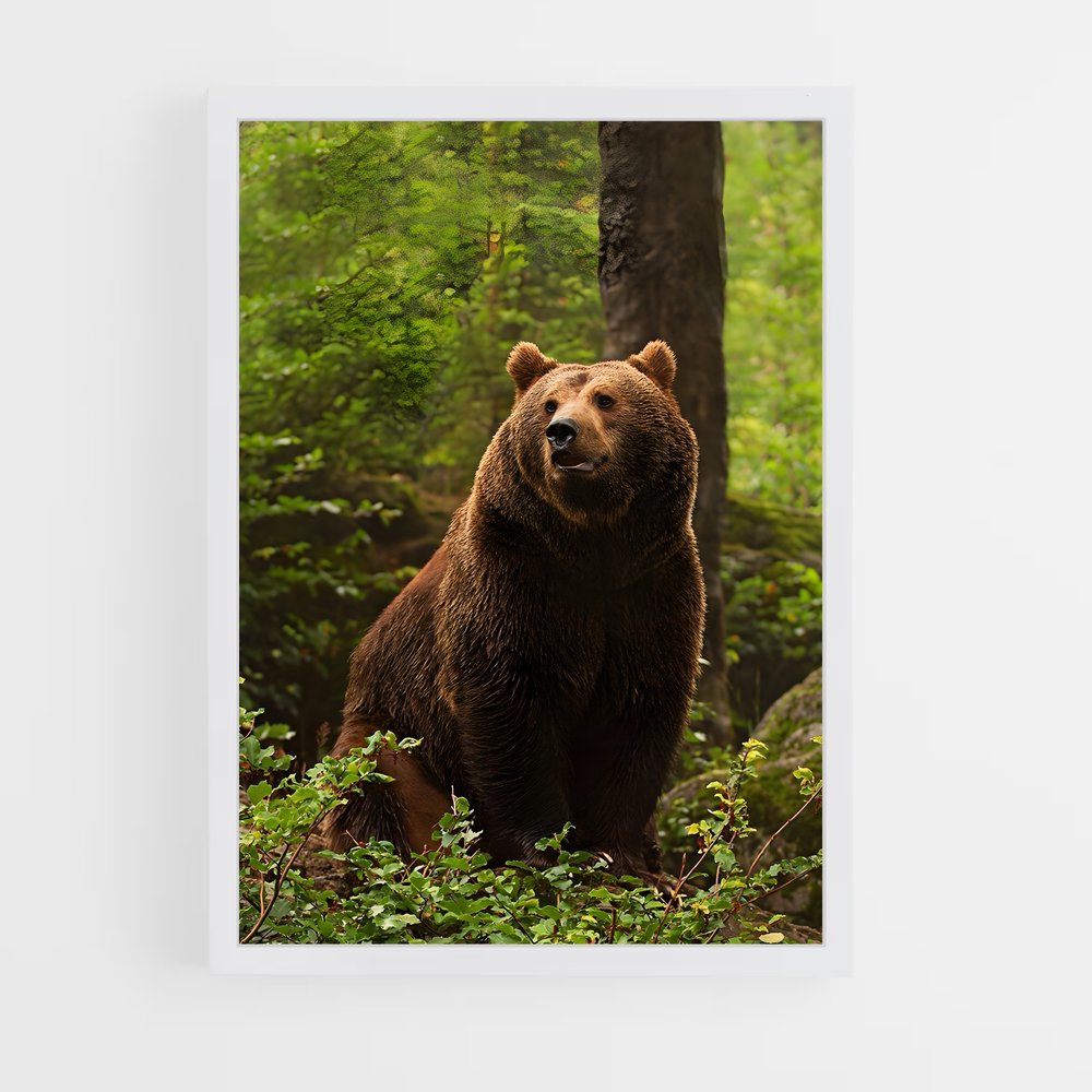 ap-bear-1 cadre Blanc