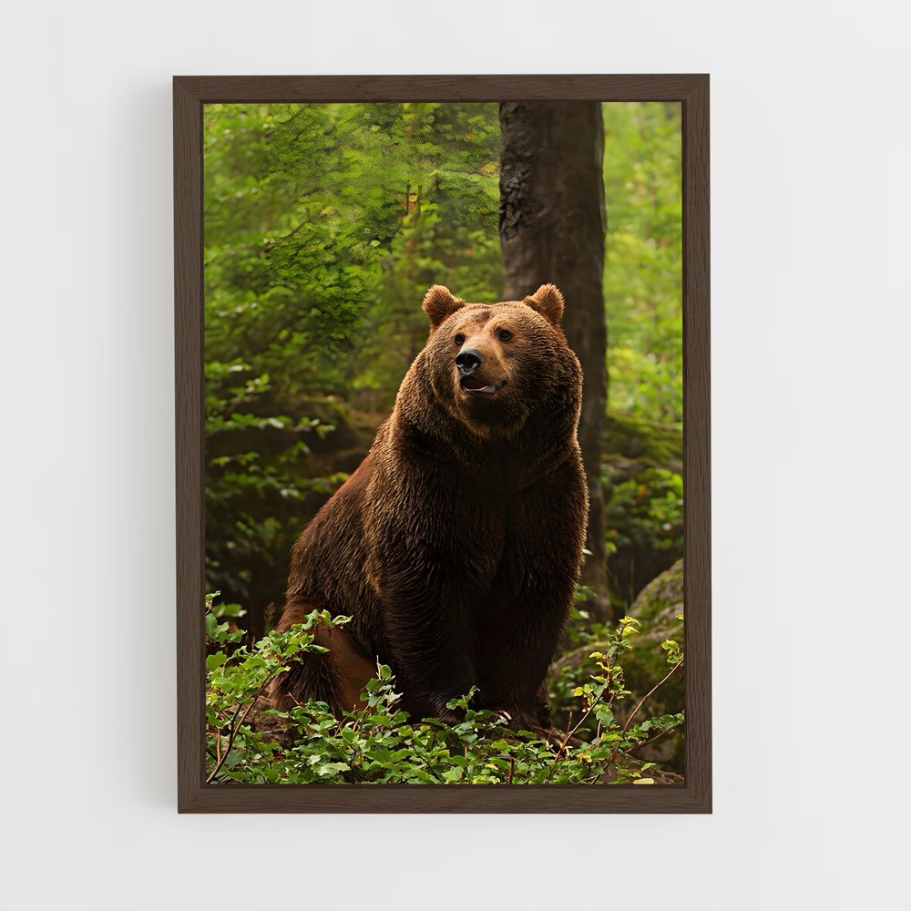 ap-bear-1 cadre Bois foncé