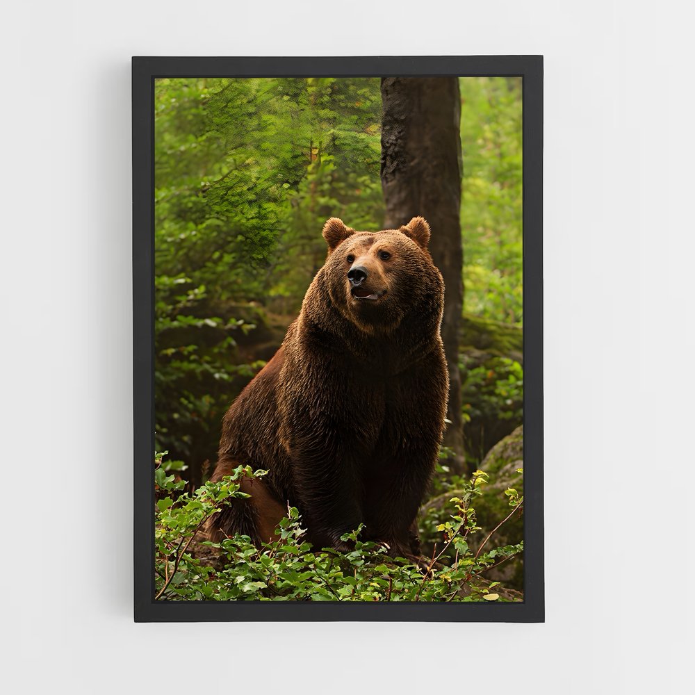 ap-bear-1 cadre Noir
