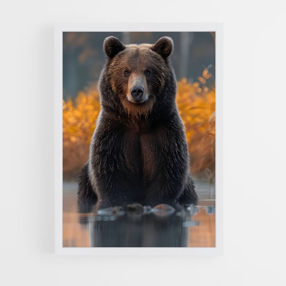 ap-bear-10 cadre Blanc