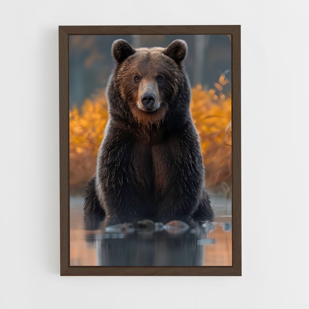 ap-bear-10 cadre Bois foncé