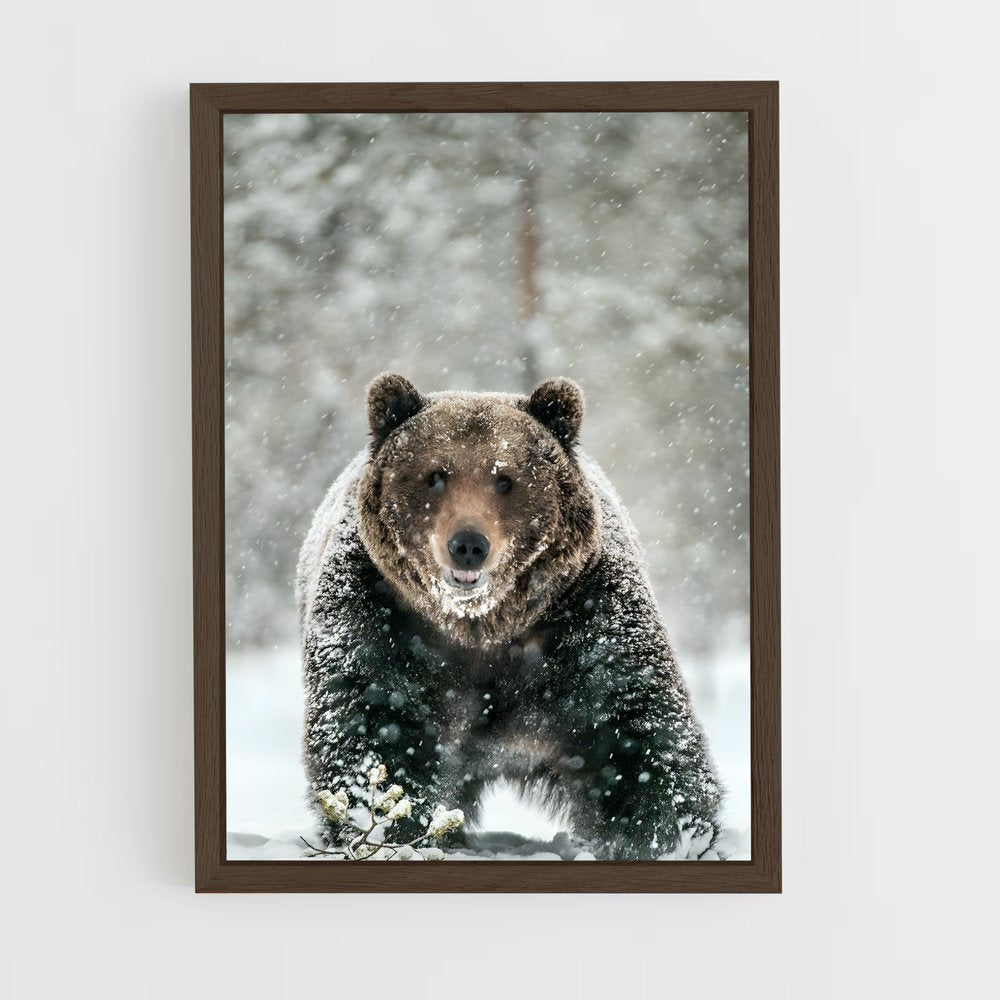 ap-bear-11 cadre Bois foncé