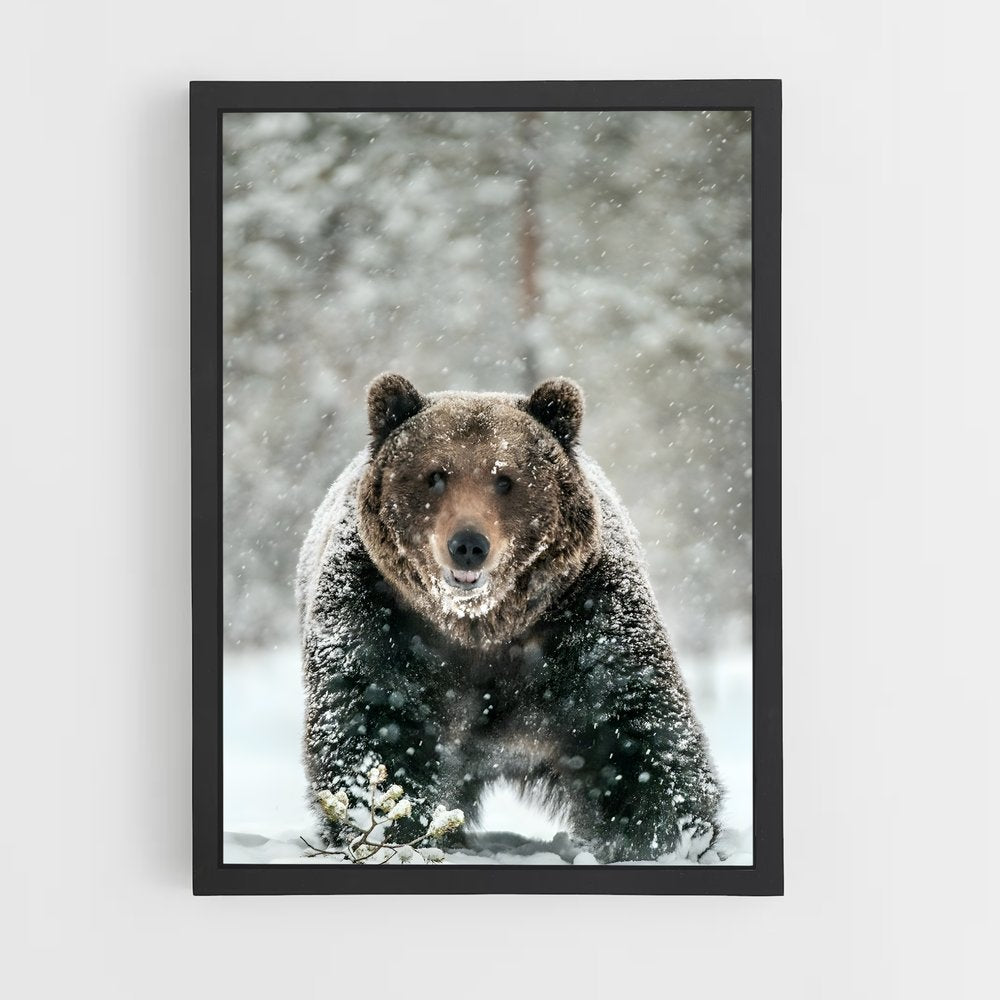 ap-bear-11 cadre Noir