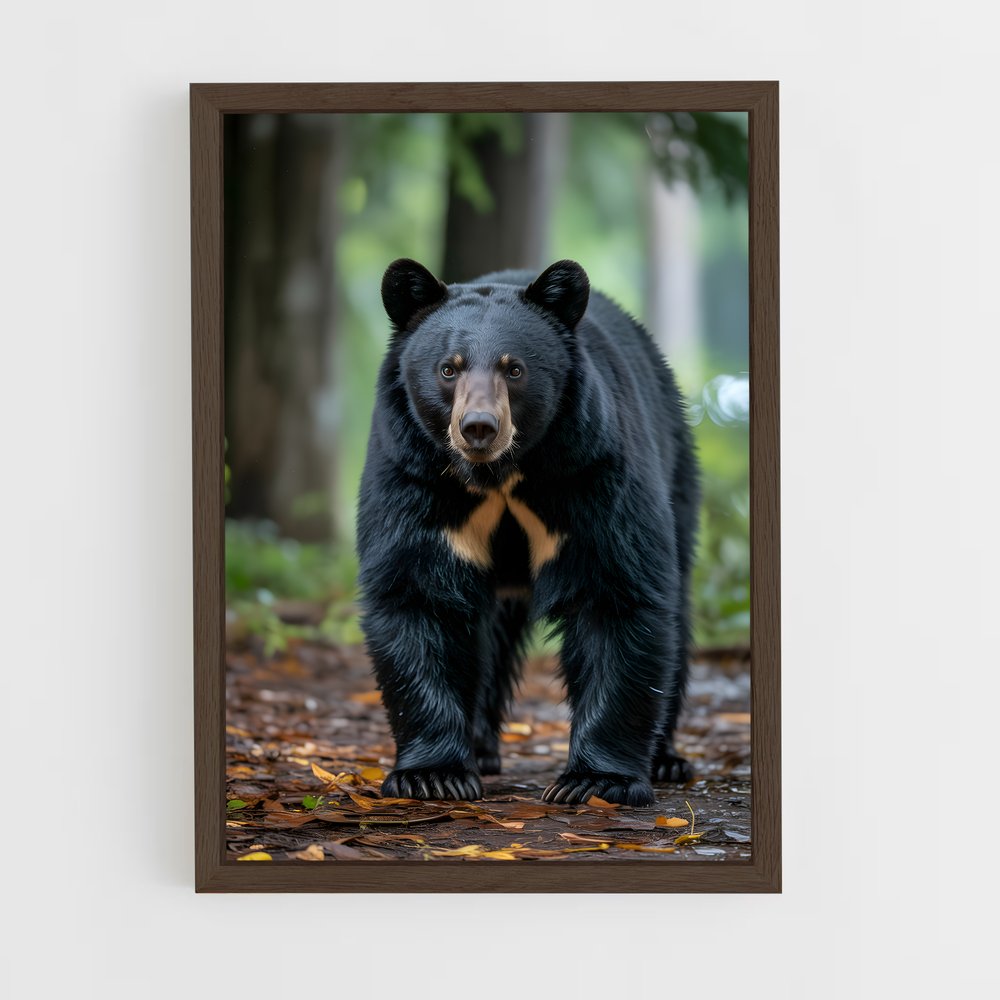 ap-bear-12 cadre Bois foncé