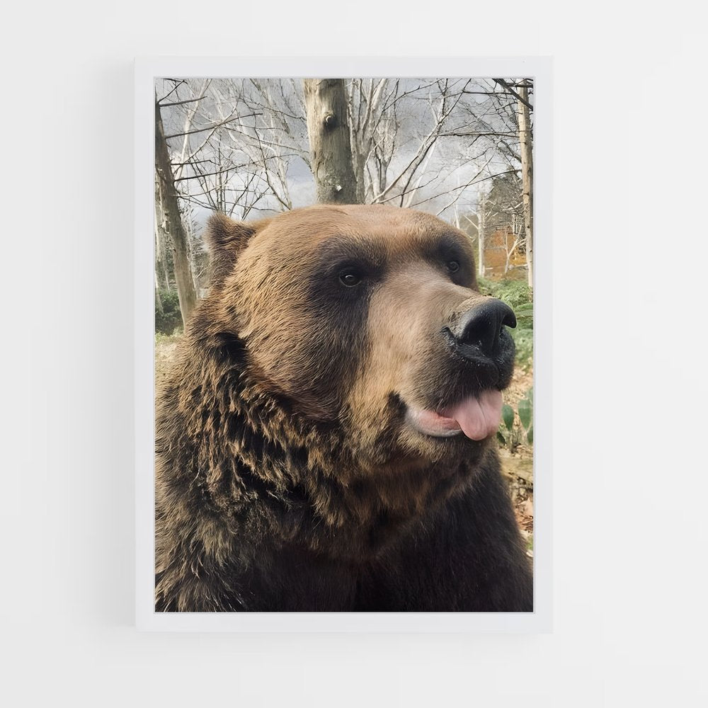 ap-bear-3 cadre Blanc