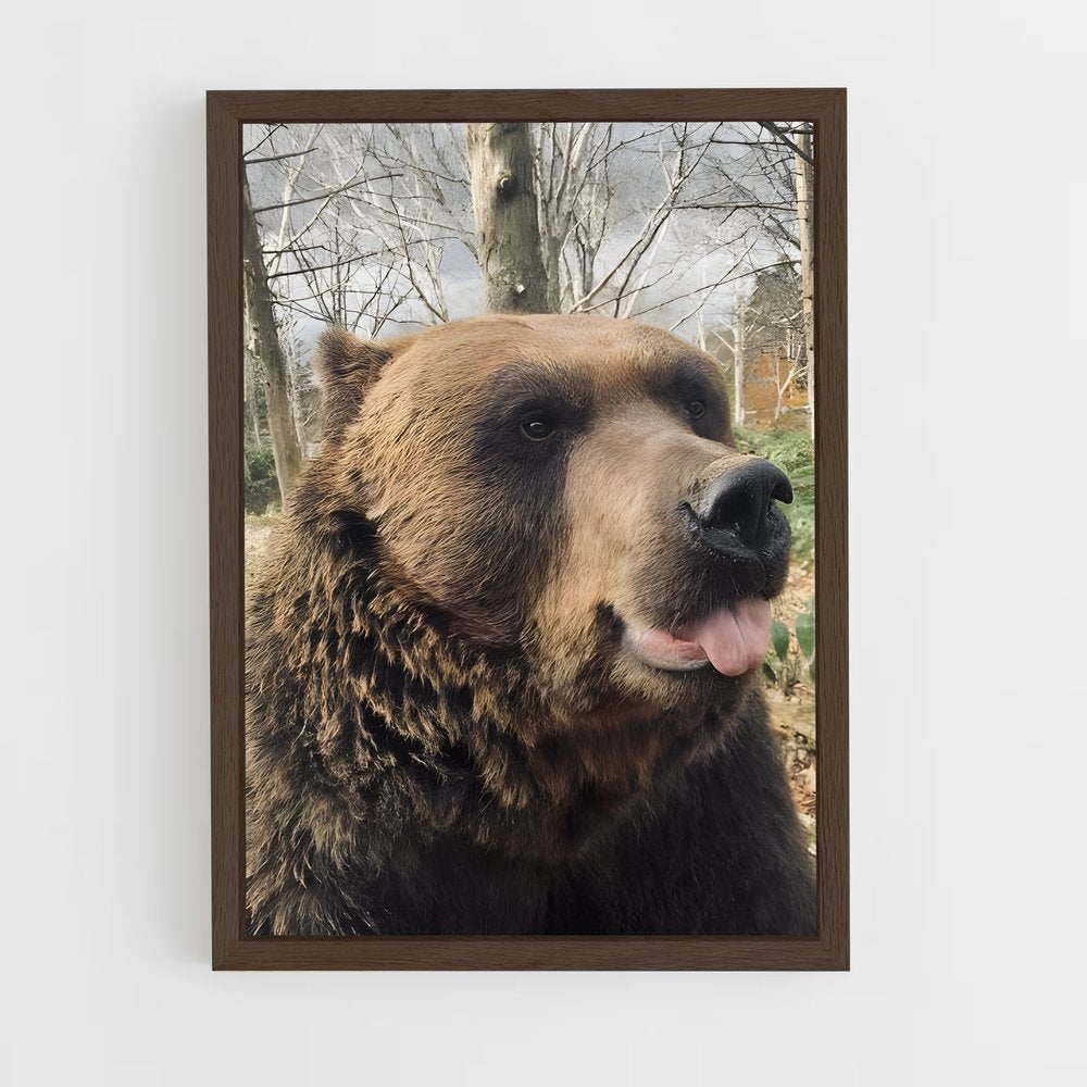 ap-bear-3 cadre Bois foncé