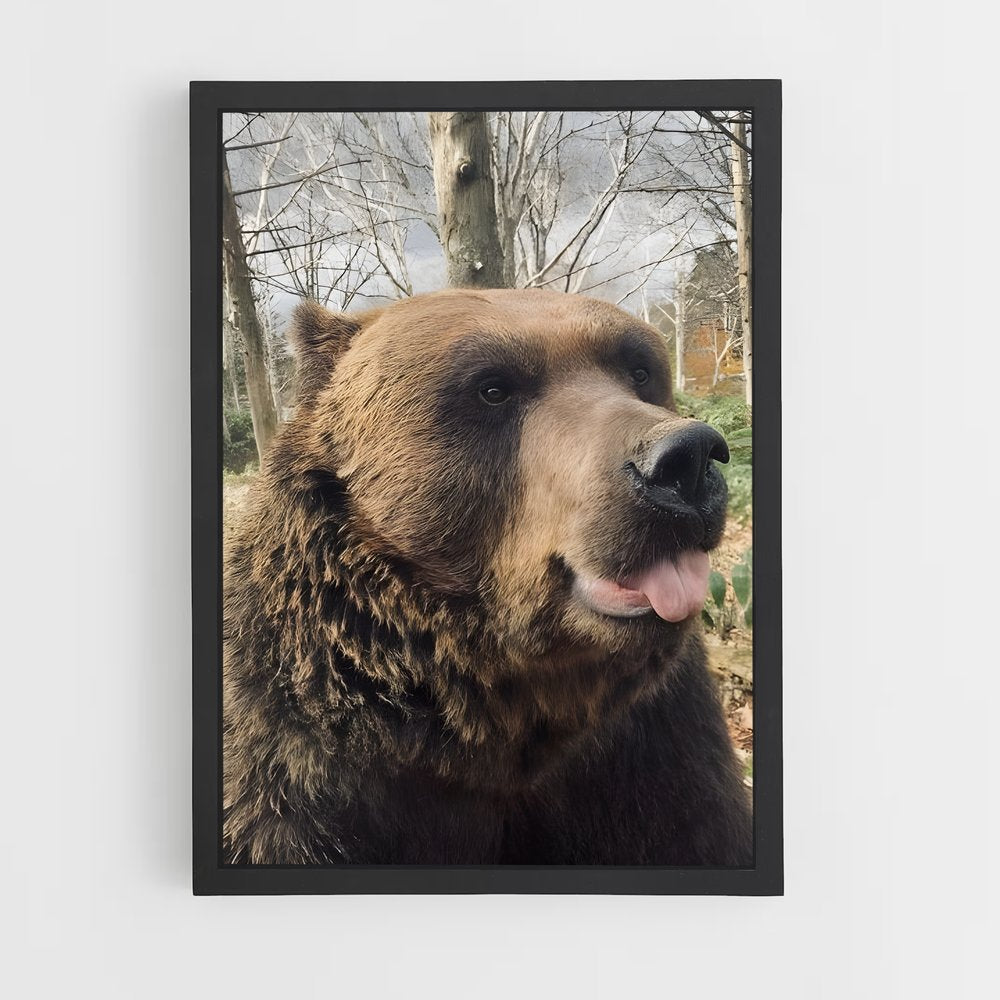 ap-bear-3 cadre Noir