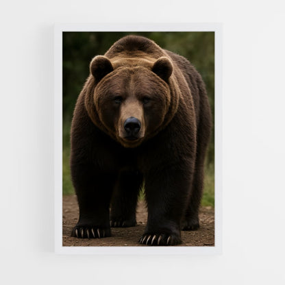 ap-bear-5 cadre Blanc