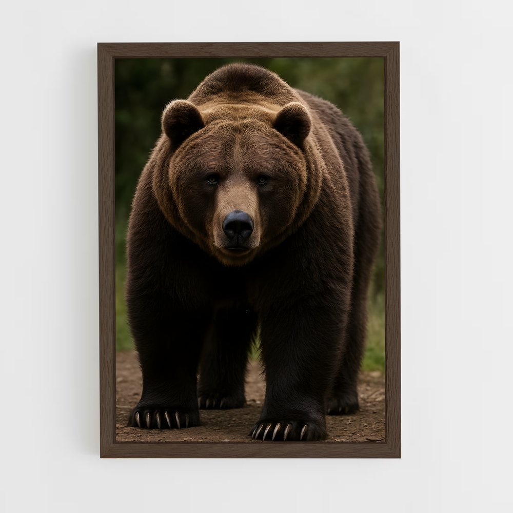 ap-bear-5 cadre Bois foncé