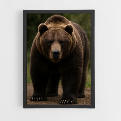 ap-bear-5 cadre Noir