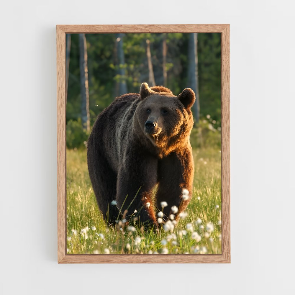 ap-bear-6 cadre Bois clair