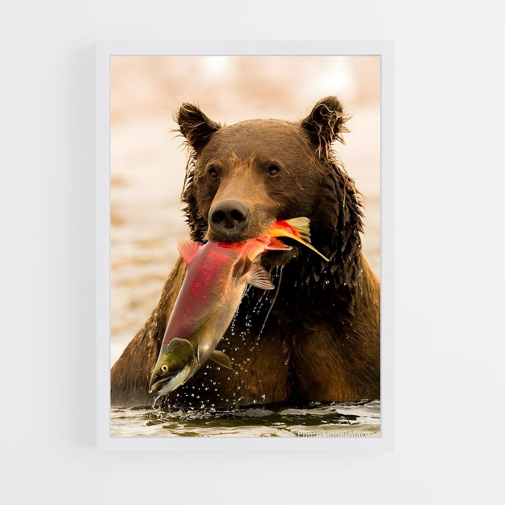 ap-bear-7 cadre Blanc