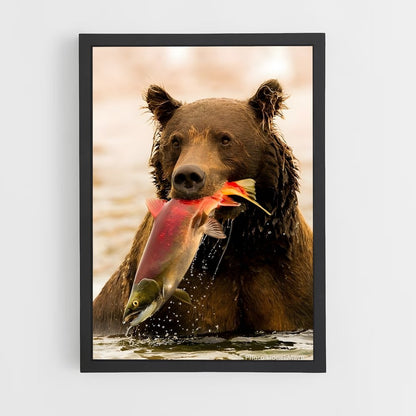 ap-bear-7 cadre Noir