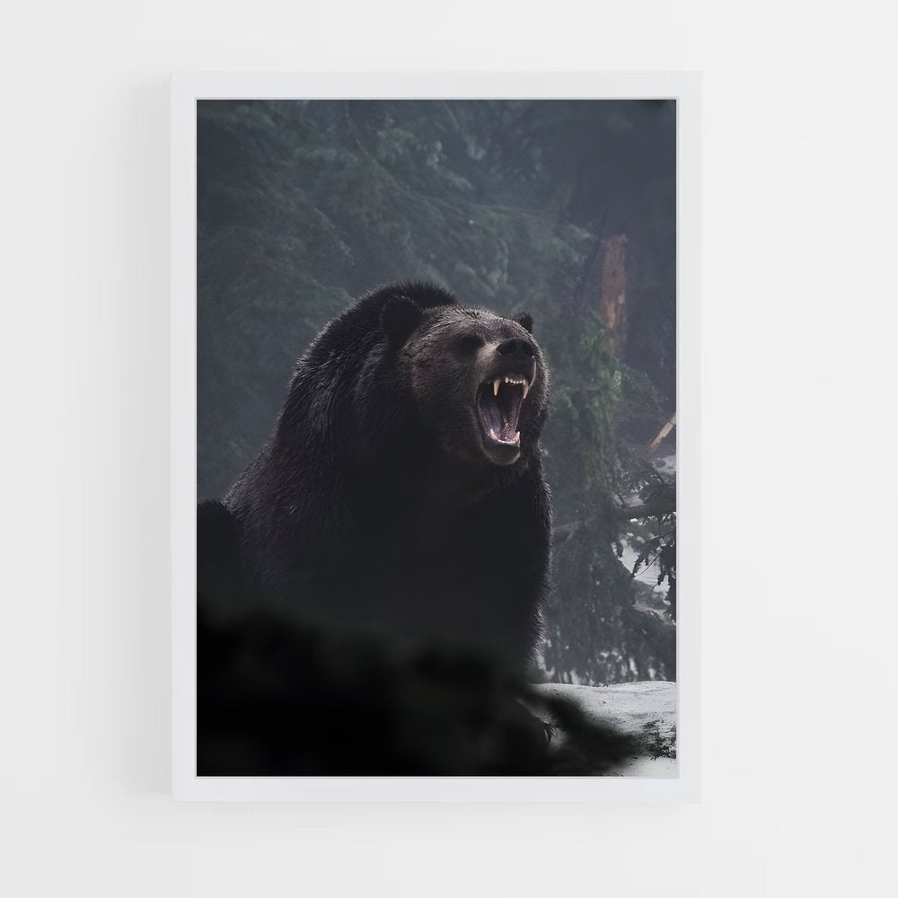 ap-bear-8 cadre Blanc
