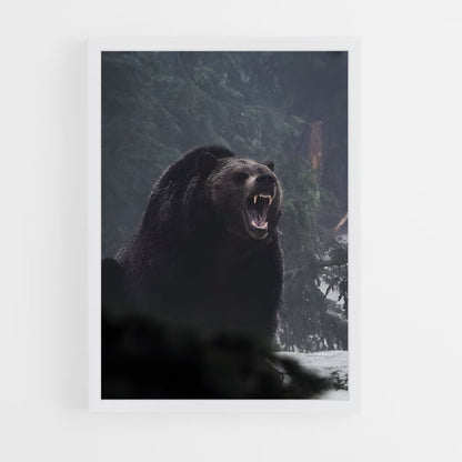 ap-bear-8 cadre Blanc