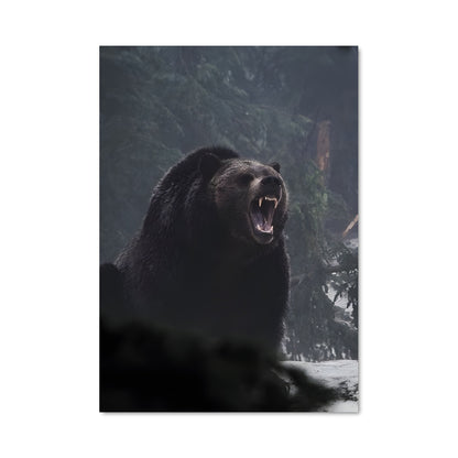 Poster Bear-y Fun
