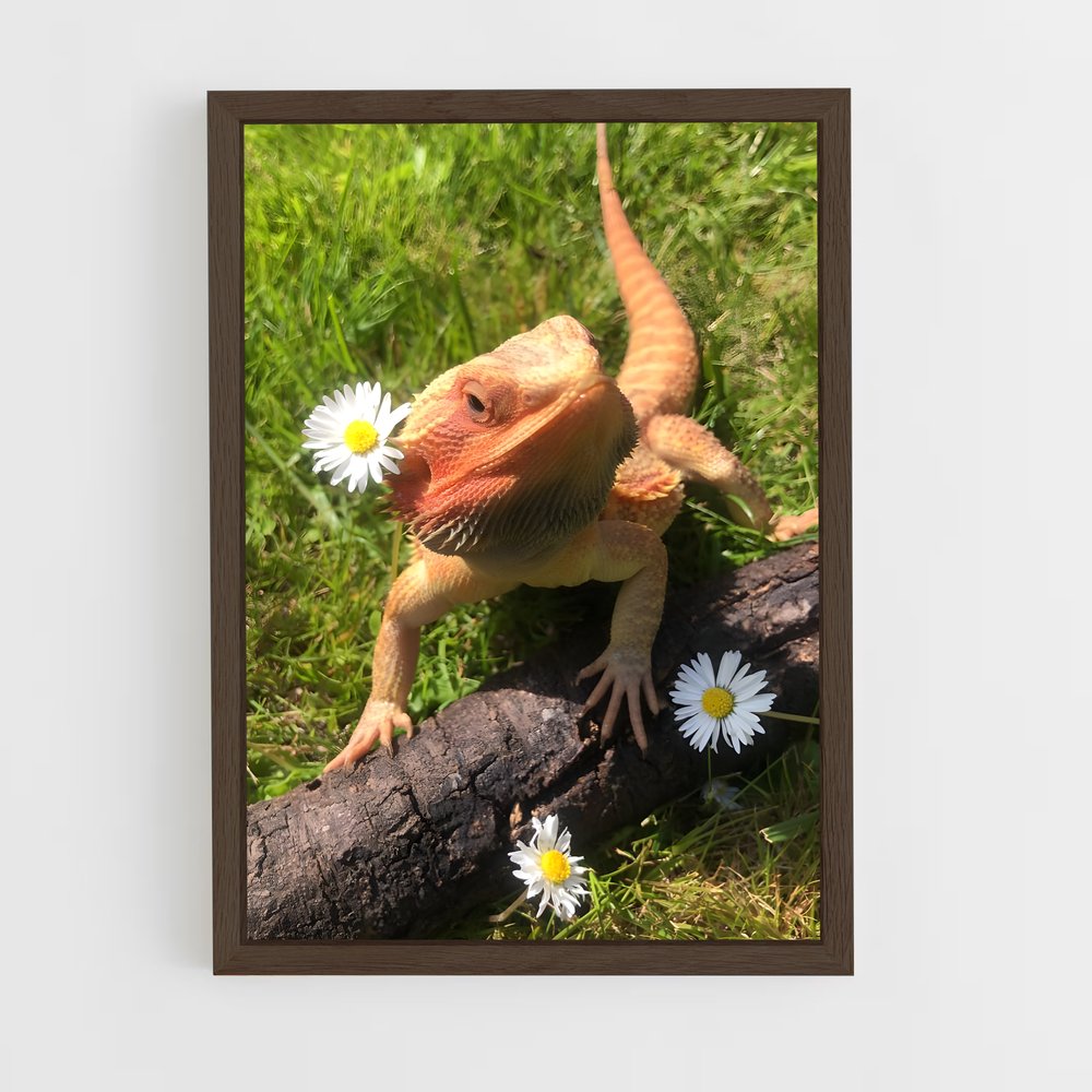 ap-bearded dragon-2 cadre Bois foncé
